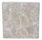 Silver Travertine Tumbled Exterior Pool Coping 12X12" 1 1/4"